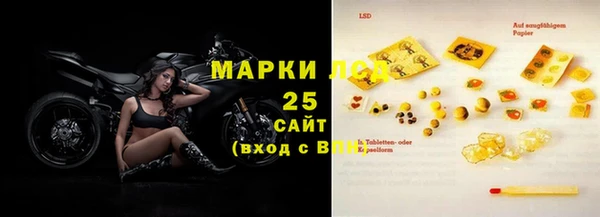 дмт Елабуга